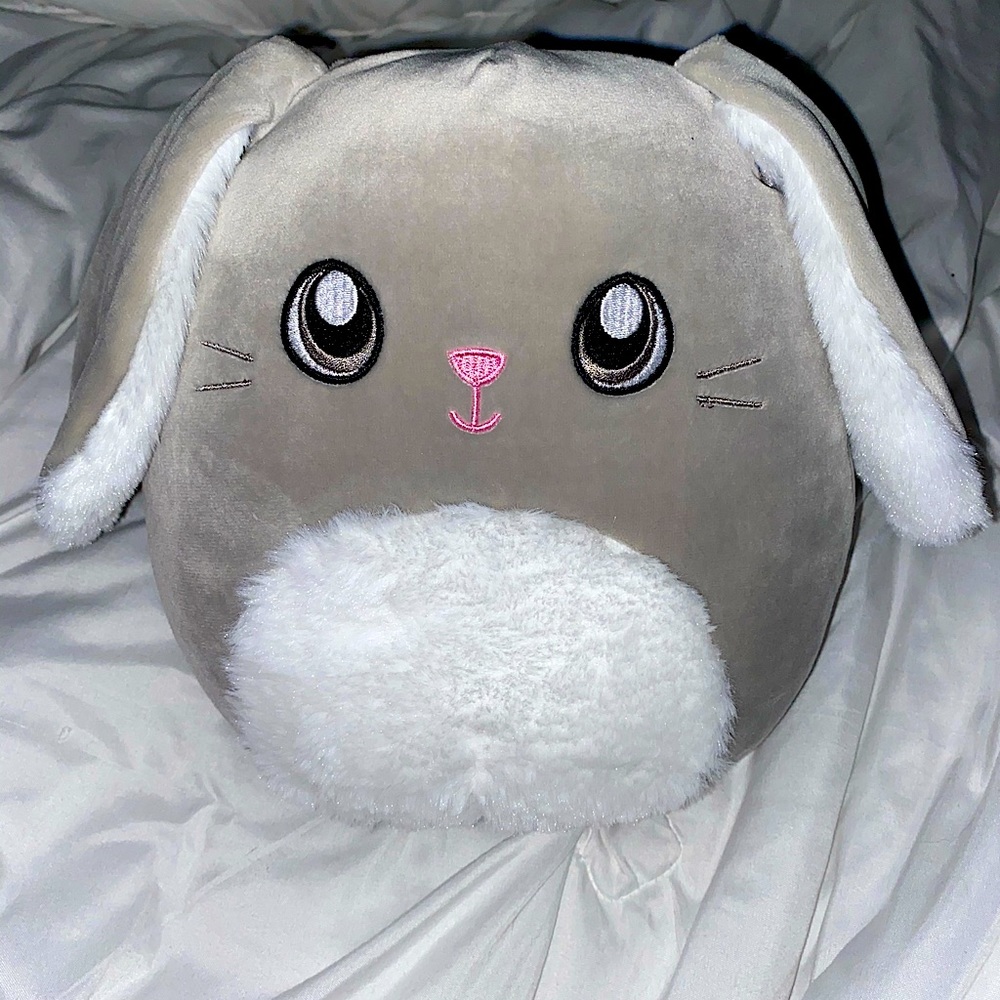 Blake the bunny squishmallow